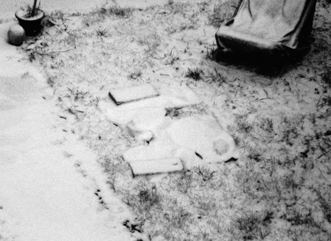 Torture de la carte en hiver