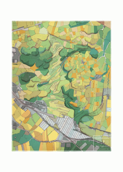 Les lacets de l'intestin